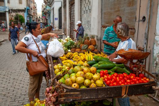 Ropa Vieja Panamenha