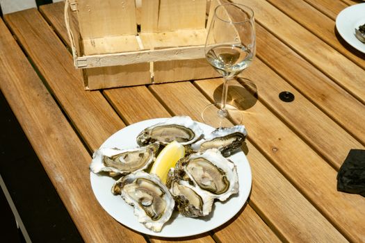 Vieiras à Parmegiana