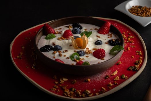 Homemade plain yogurt
