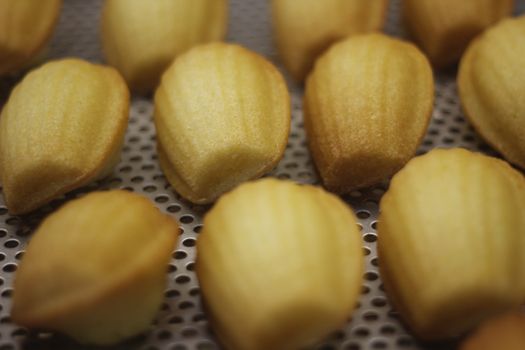 Madeleines