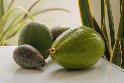 Crema de palta y lima untable