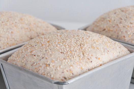 Pan sin gluten de arroz y trigo sarraceno