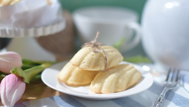 Madeleines francesas