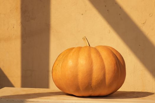 Crema de calabaza