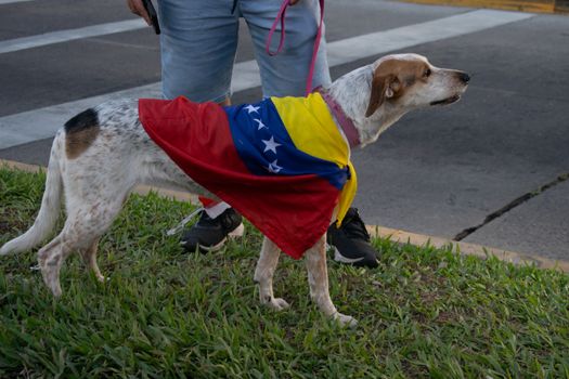 Quesillo Venezuelano